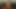 Porno yıldızları: tia tatlıları