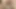 Öğrenci üniversiteden ayrıldı ve bir webcam modeli olarak çalışmaya gitti