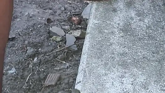 Dar şortlu şişmiş amcığım