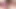 Candice nicole alır üzerinde the dev horoz arasında whitezilla