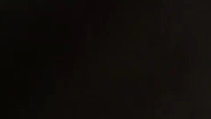 Şişman götlü kaltak Sharon'u sikiyor