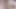 Tushy - Riley Reid ve Paige Owens büyük anal delikler
