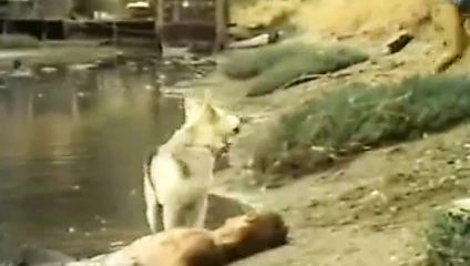 Lyn Cuddles Malone, Dan Roberts, Joey Silvera in vintage