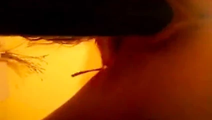 Nippleclips salatalık bakan kam binmek