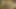Karım yalnız ve iki tür yapay penis ile eğleniyor, biri kıçından, ikincisi kedi üzerinde – bu çok hoş