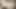 Anal sex fanny bhabhi sathe sex videos Tanisha roy bengali