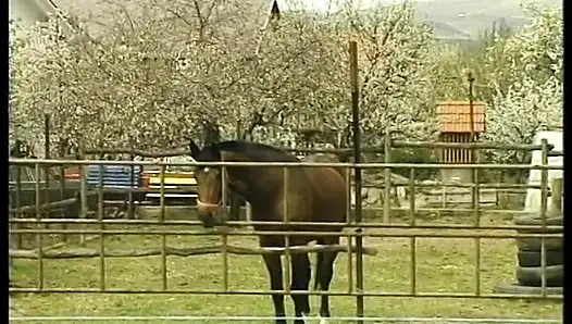 Sıska kızıl saçlı genç kız atölyede sikiliyor