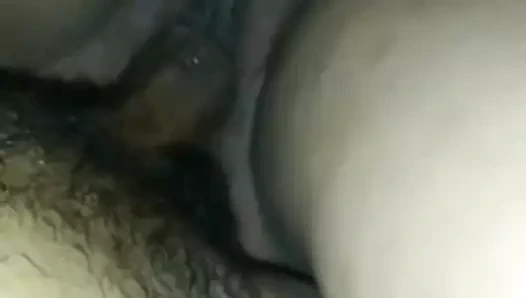 Hindistan yenge kedi becerdin