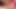 İki seksi fahişe aynı anda amlarını arkadan yalatıyor