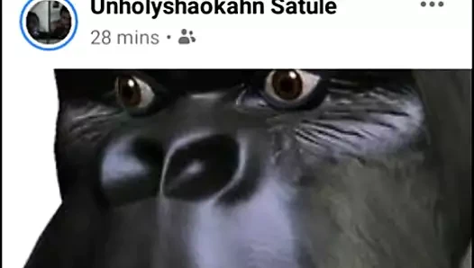 Bakireler her zaman kazanır bu yüzden benim gibi bakire kal, görmüyor musun