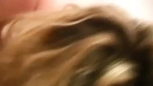 Titfuck oral seks çilek sarışın