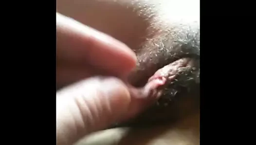 beyaz kedi