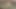 Seksi minyon Capri Anderson o kadar mutlu ki hepinizi kendi kendine yaşatıyor!