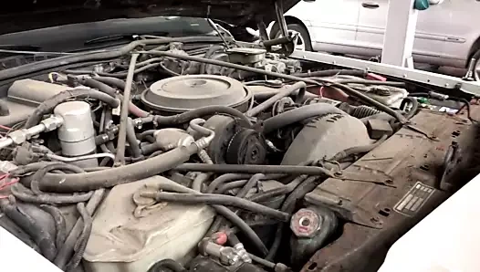 Balo avcısı - (bölüm #01 - orijinal versiyon)