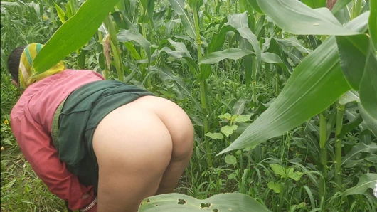 Kayınvalidenin tarlada yürüdüğünü, şişman kıçını salladığını ve parmaklarını amına soktuğunu gördüm, kayınpederim ne kahan mein ass mar do mere aage donki ho ja.