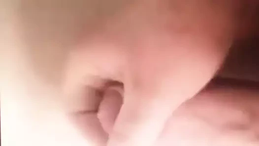 Cum baştankara ördek