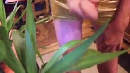 Zeig ihn mir, kleiner Wixer