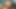 Günaydın!! Karımın sürtüğüyle sabah seksi