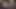 Orta yaşlı seksi kadın kaygan yarak emiyor