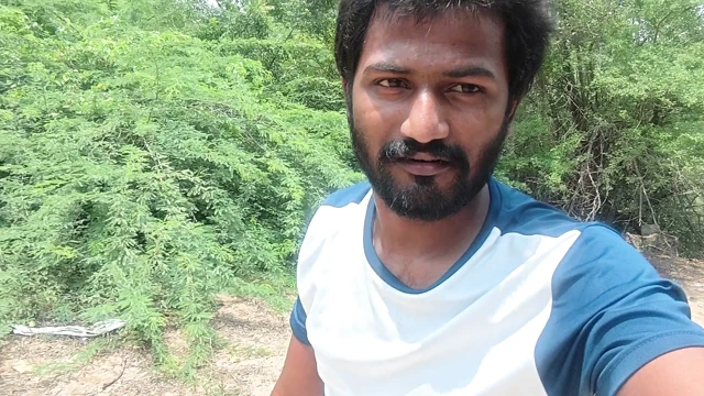 XHard Arival Village Forrest Hunting