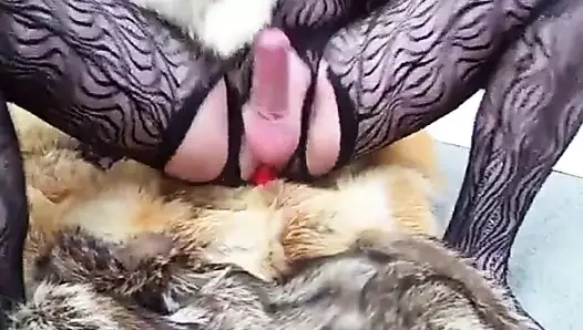 amatör cd yapay penis eylem içinde kürk bölüm 2