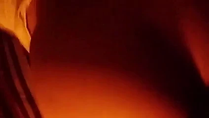 malezya ev hanımı köpek bbc