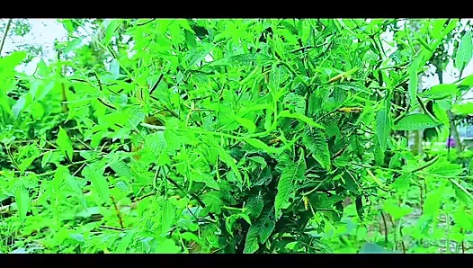 Bangla Choti Golpo. Bangla Hot Choti Golpo