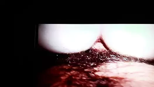 pov köpek eski kamera