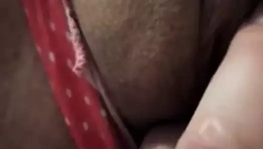 Polska palcoweczka julitki