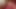 Harika büyük götlü travesti kimberly klauss