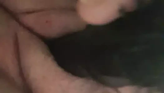 Kediyi içeride taramak