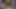 Güzel latina bir fotoğraf oturumuna gitti ve onu kedi büyük bir horoz ile sona erdi - ispanyolca porno