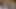 69 pozisyonundan sonra en sevdiğim boğayla ırklararası seks beni tangamla sert sikiyor