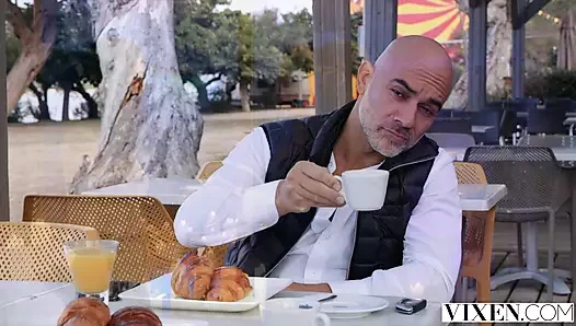 VIXEN MENAGE A TROIS COMPILATION VOL. 2