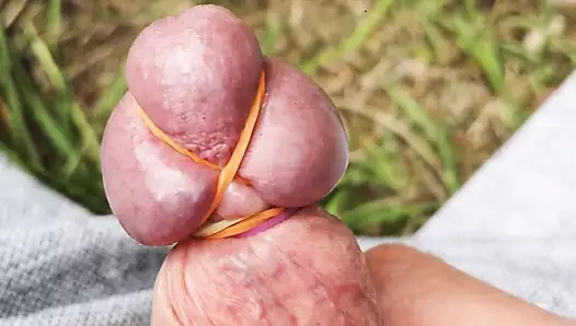 Açık bağlı horoz ve boşalmak