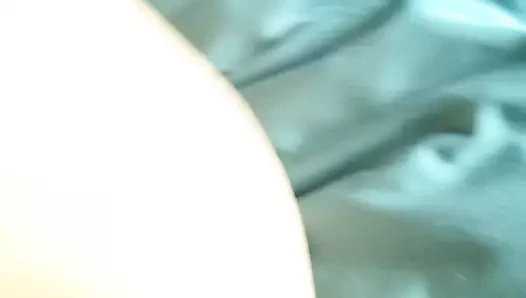 Amcık