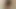 Lelu aşk boynuzlu kız arkadaşı intikam tease