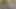 eski köle tükürdü ve kullanılan olarak kül tablası tarafından alman veletler