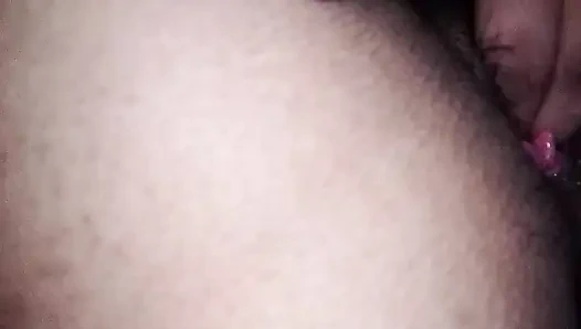 Amcık ovma organizması