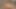 Anal ile liza del sierra