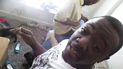 Büyük siyah horoz içinde şişman beyaz kedi