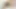 Büyük memeli sarışın kız en iyi arkadaşının amını yalamayı seviyor - İspanyolca porno