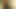 Porno yıldızı bez sutyen çıkarıyor tam çıplak şov seksi konuşma göt gösterisi