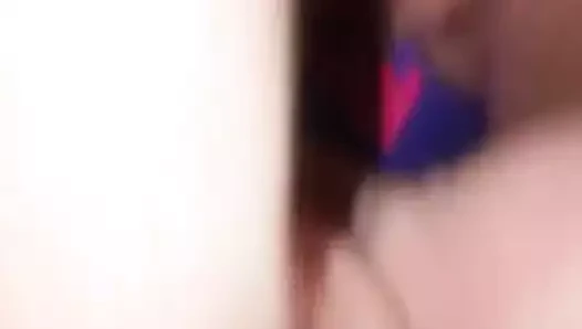 Redbull can içeride ona kedi