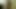 Aptal sarışın sürtük