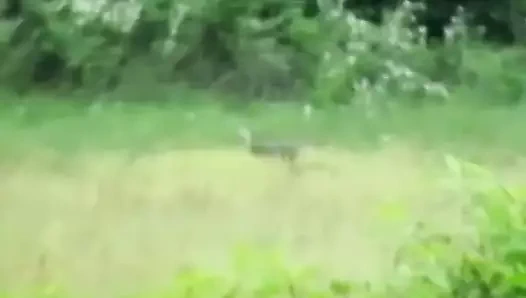 Dövmeli amatör gage winchester masturbates ve cums solo