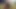 Sıradan bir yarak için çok iyi
