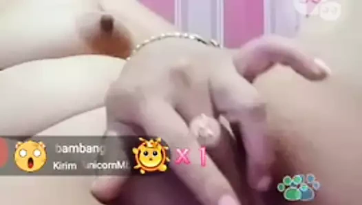 mlive tante unicorn memek burik