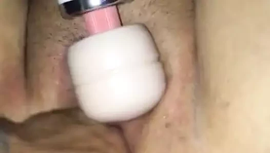 amatör gergin KEDİ