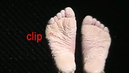 Bianca'nın ıslak ayakları 2011 bölüm 6